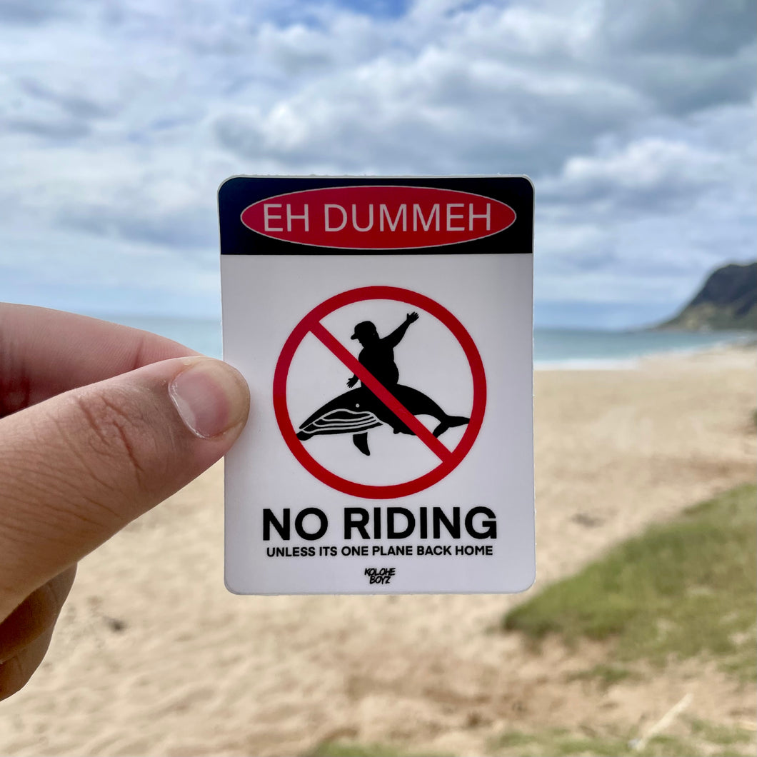 No Riding Whales Sticker